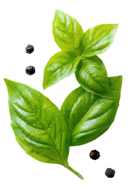 Green basil leaves with black peppercorns on a white background.